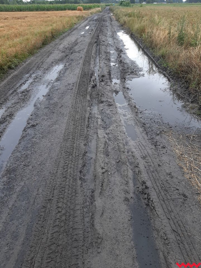Nieudolność czy kpina z mieszkańców Kolonii Janowskiej i Górnych Grądów?