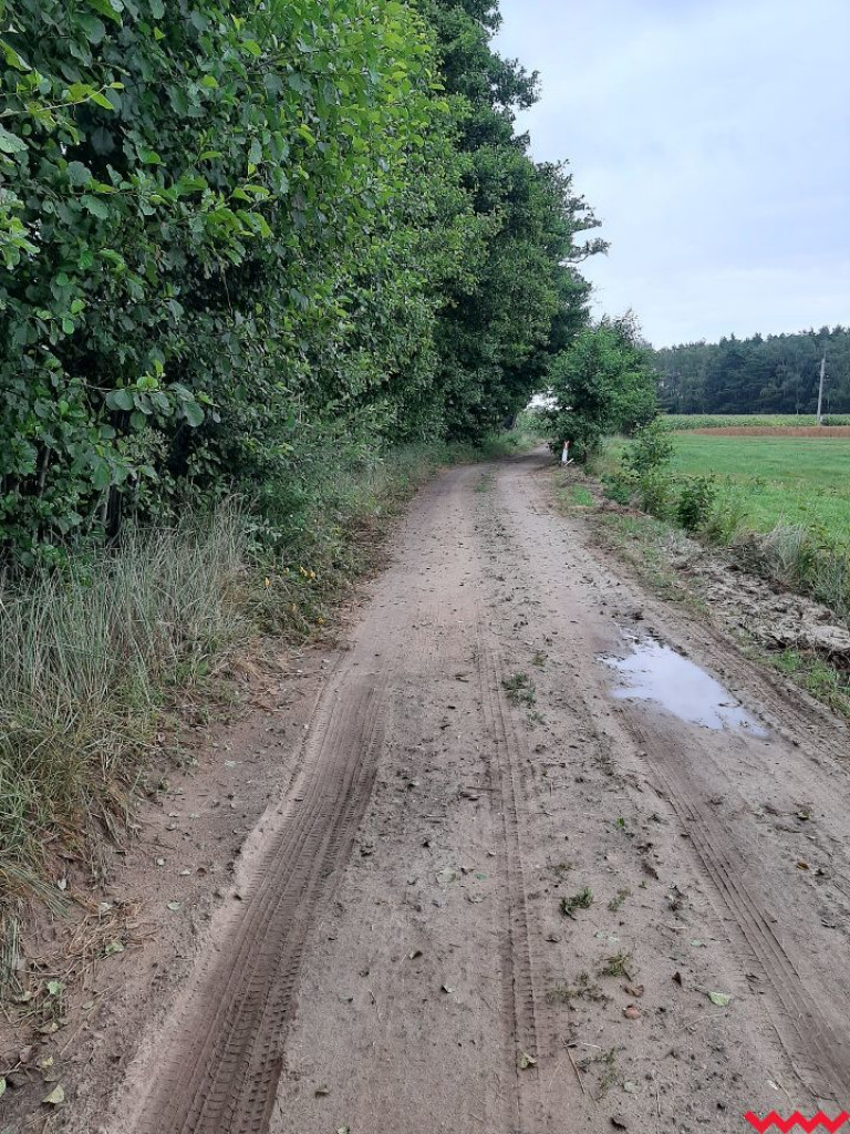 Nieudolność czy kpina z mieszkańców Kolonii Janowskiej i Górnych Grądów?