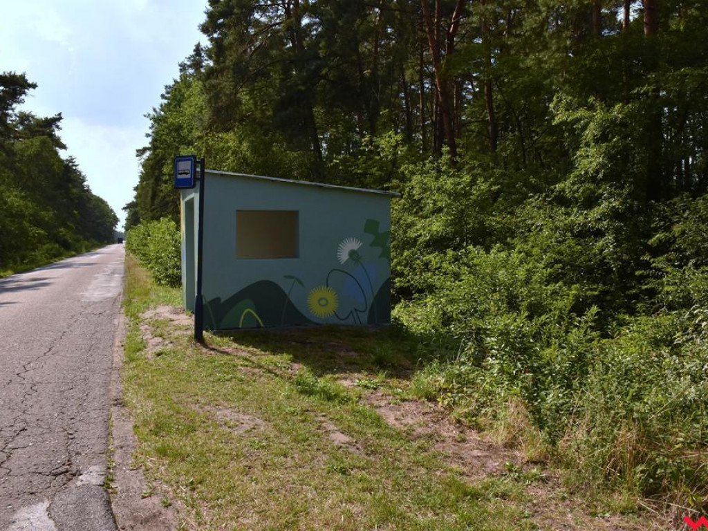 Rowerem po Puszczy Pyzdrskiej. Nowa propozycja dla miłośników jednośladów