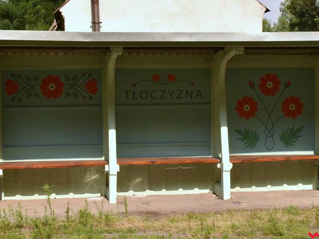 Rowerem po Puszczy Pyzdrskiej. Nowa propozycja dla miłośników jednośladów
