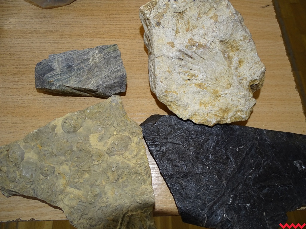 Mobilne laboratorium w Borzykowie i Krzywej Górze. Nauka przyjazna dla dzieci