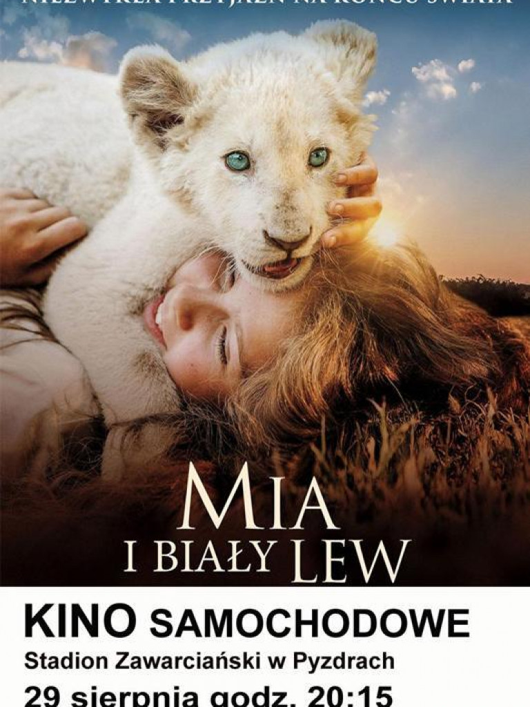 Kino samochodowe dla dzieci i dorosłych na zakończenie wakacji