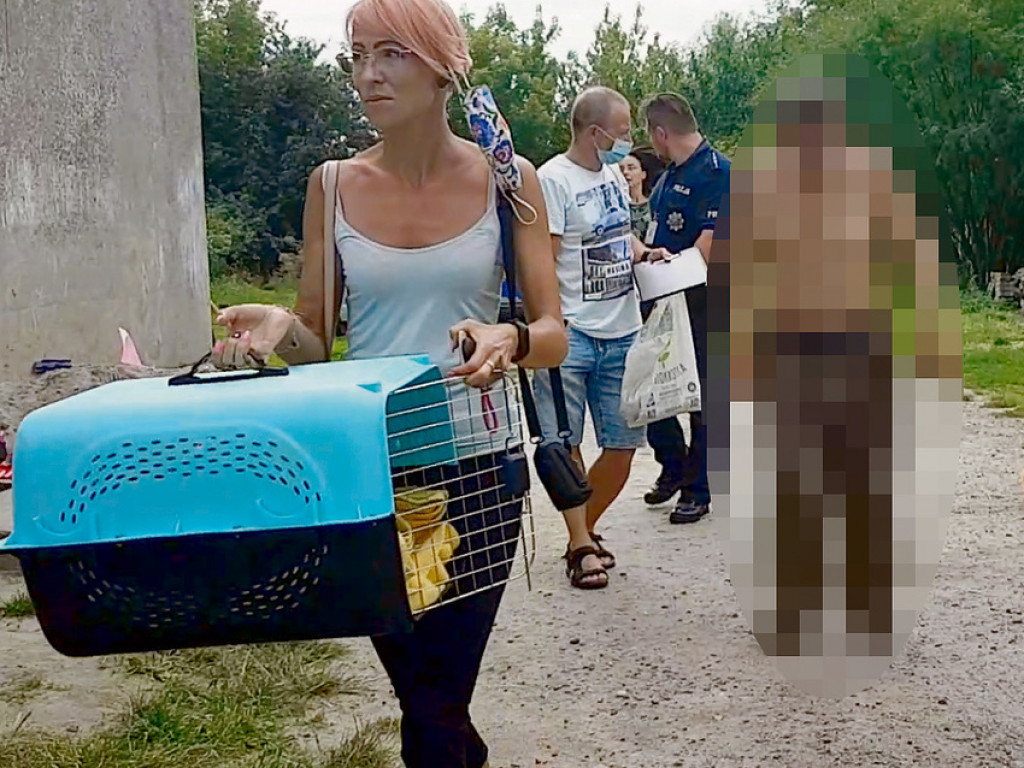 Psie piekło. Udało się uratować jedno z dwóch zwierząt