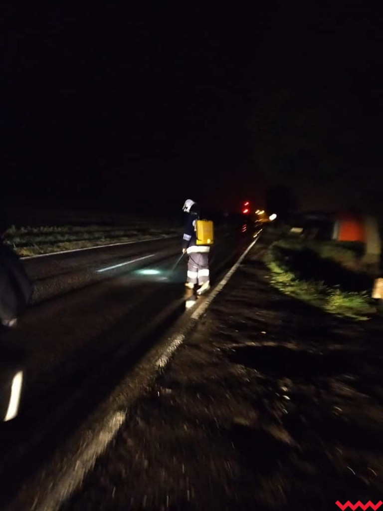Strażacy znowu usuwali sporą plamę oleju
