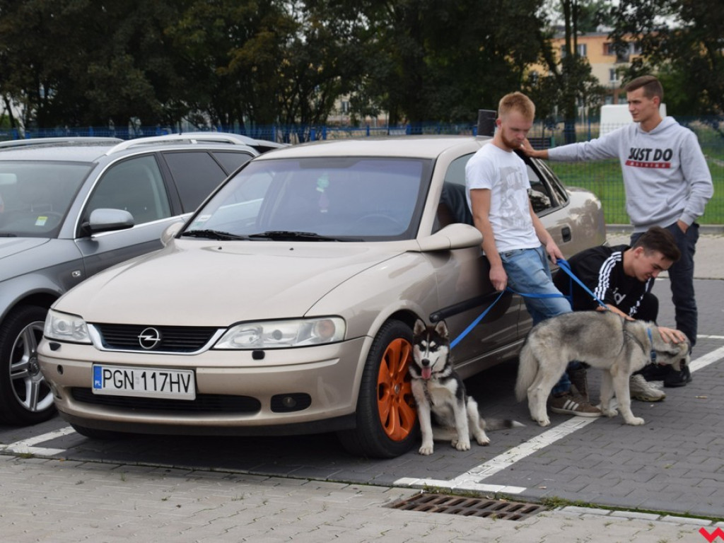 Motomaniacy Września dla Marcina. Charytatywne spotkanie miłośników motoryzacji