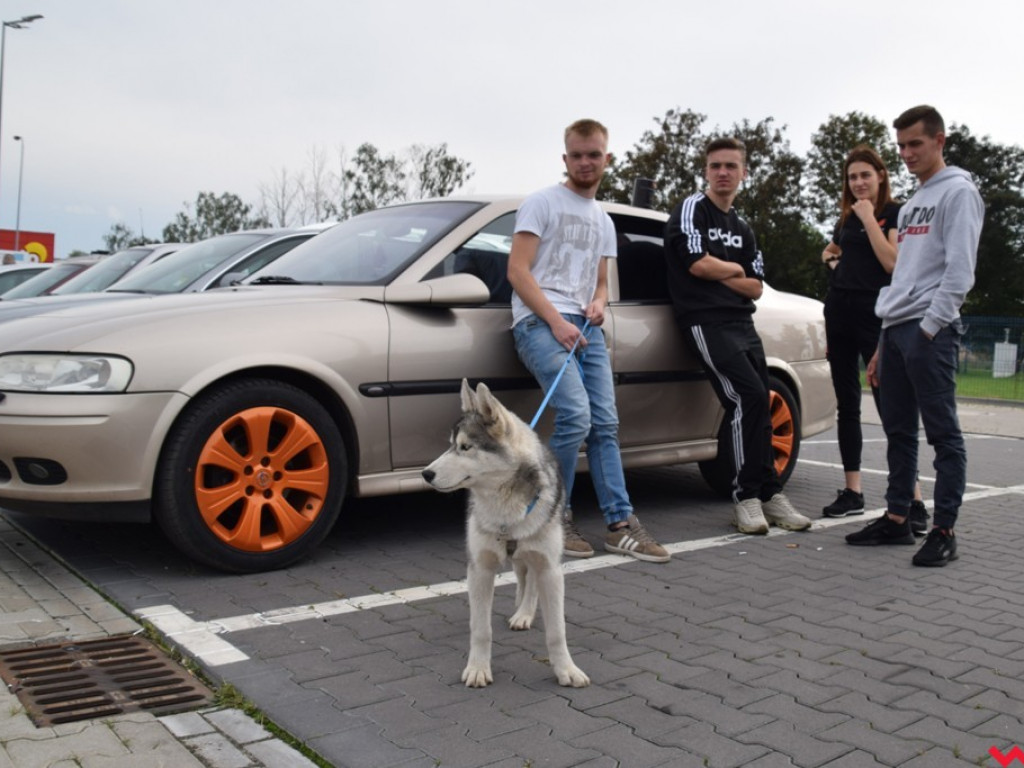 Motomaniacy Września dla Marcina. Charytatywne spotkanie miłośników motoryzacji
