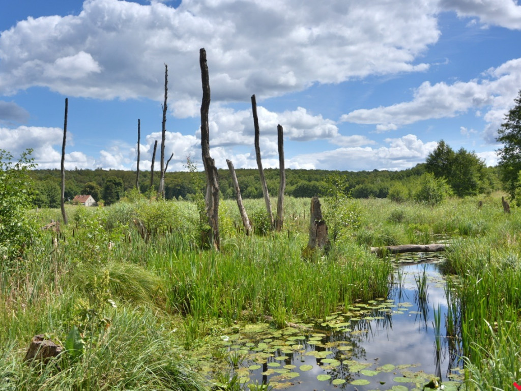 Zaczarowane miejsca Marka Pichety. Co warto zobaczyć w okolicy?
