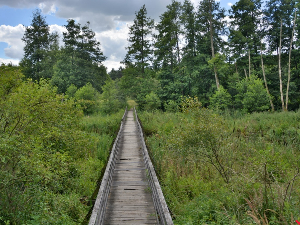 Zaczarowane miejsca Marka Pichety. Co warto zobaczyć w okolicy?