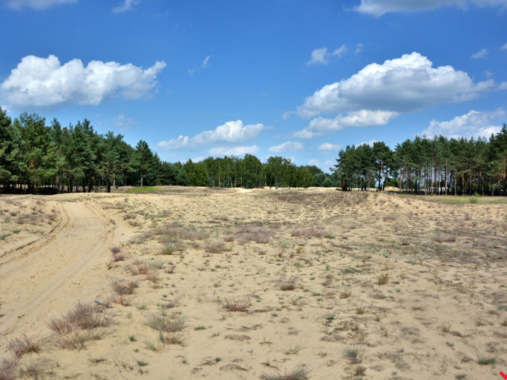 Zaczarowane miejsca Marka Pichety. Co warto zobaczyć w okolicy?