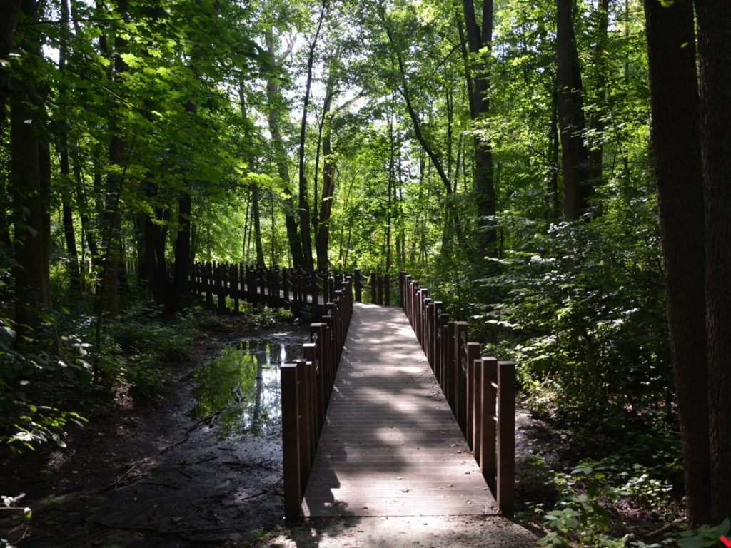 Zaczarowane miejsca Marka Pichety. Co warto zobaczyć w okolicy?