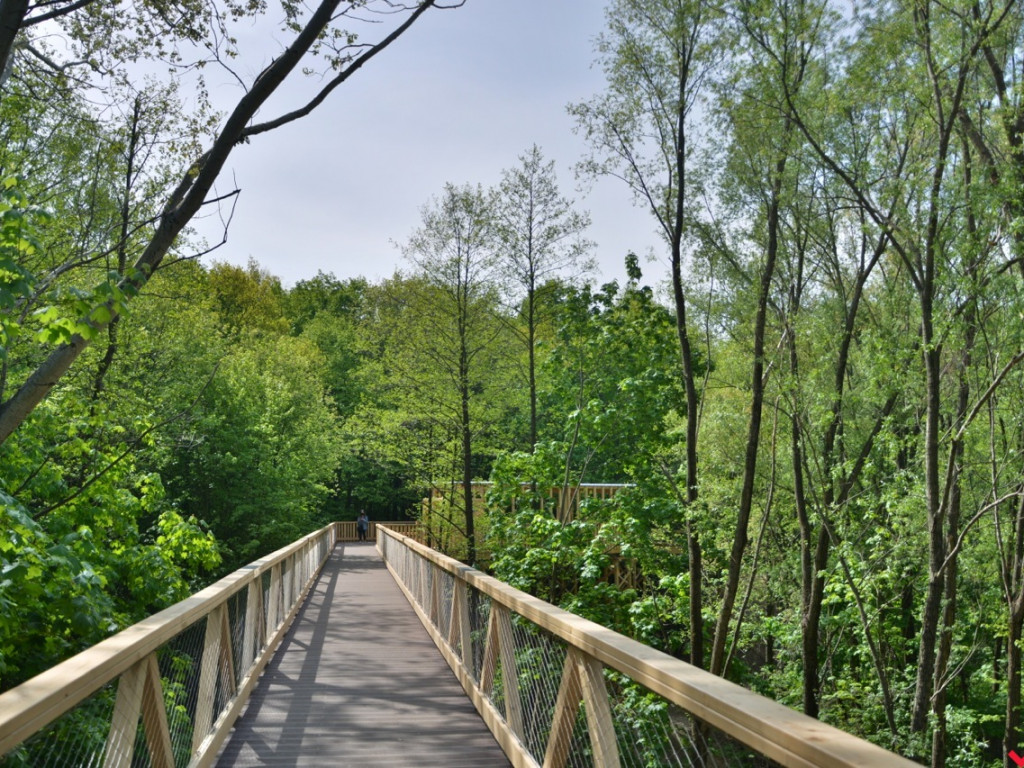 Zaczarowane miejsca Marka Pichety. Co warto zobaczyć w okolicy?