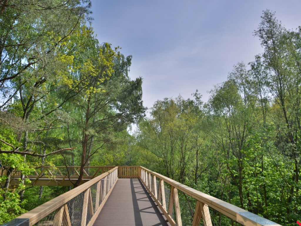 Zaczarowane miejsca Marka Pichety. Co warto zobaczyć w okolicy?