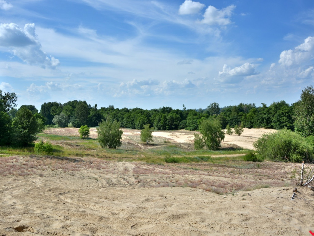 Zaczarowane miejsca Marka Pichety. Co warto zobaczyć w okolicy?
