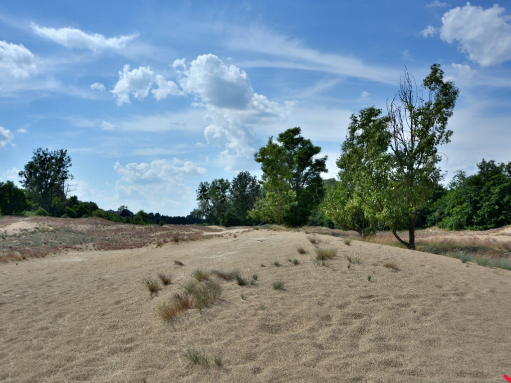 Zaczarowane miejsca Marka Pichety. Co warto zobaczyć w okolicy?