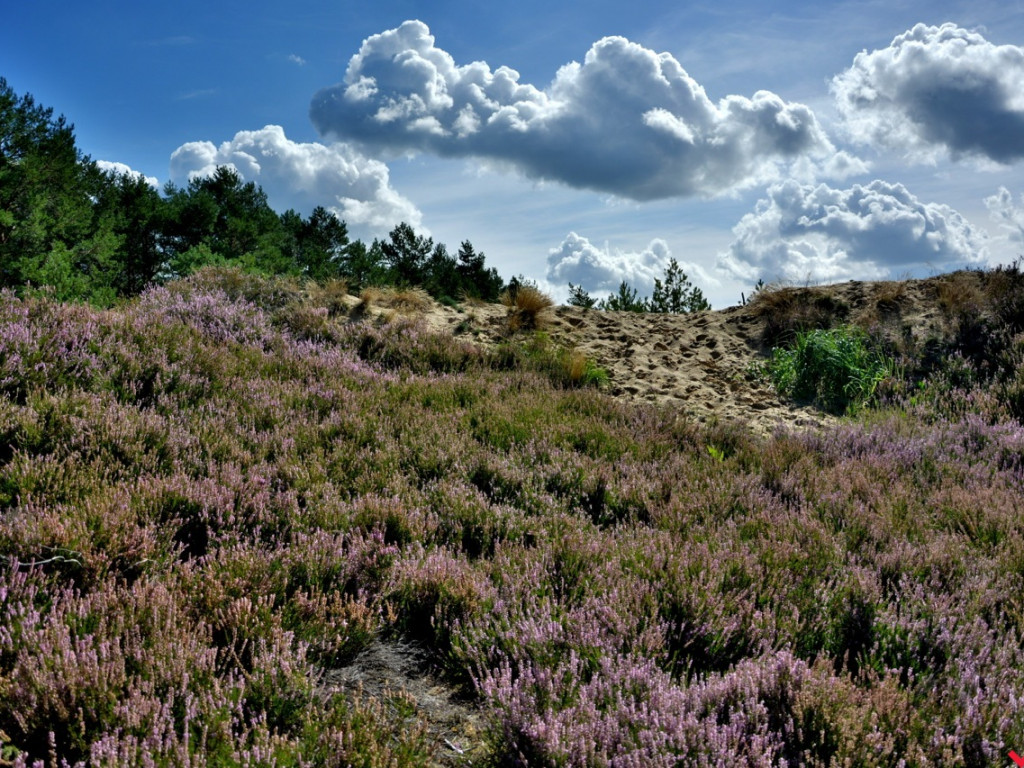 Zaczarowane miejsca Marka Pichety. Co warto zobaczyć w okolicy?