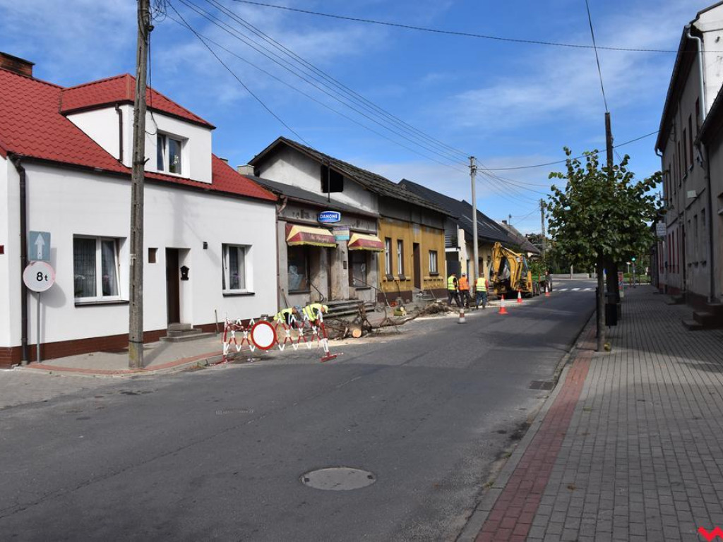 Młode drzewa zamiast starych na ulicy Niepodległości