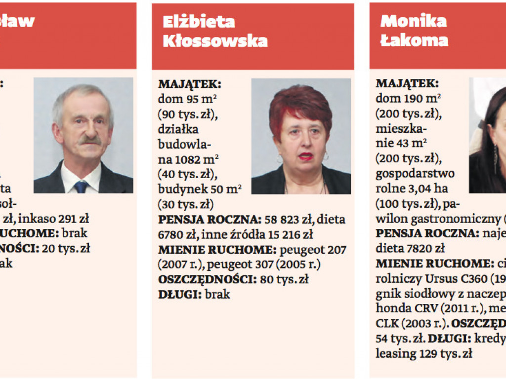 Pyzdrski stan posiadania. Prześwietlamy majątki radnych znad Warty