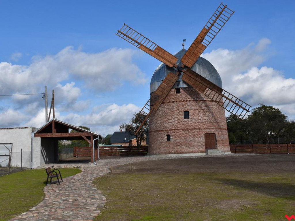 Zmienia się otoczenie wokół wiatraka holenderskiego