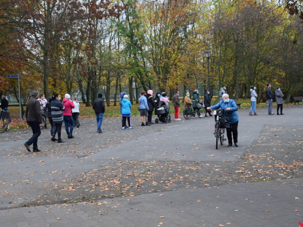Chryzantemy we Wrześni rozeszły się błyskawicznie. Większość trafi do ogródków i na balkony