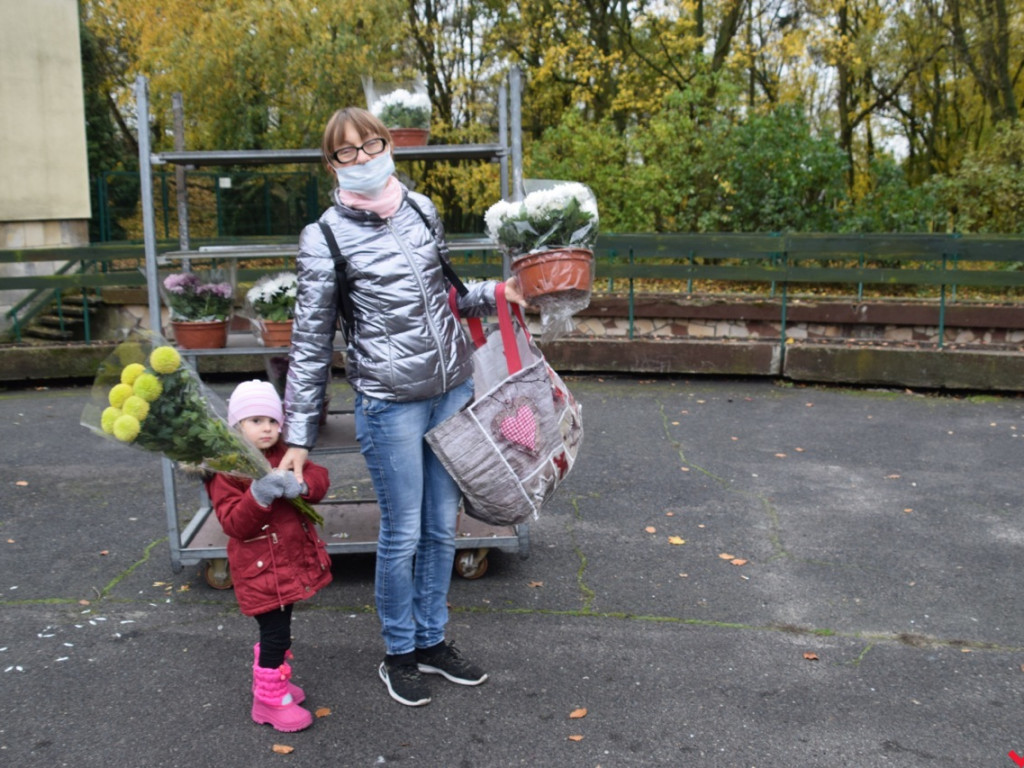 Chryzantemy we Wrześni rozeszły się błyskawicznie. Większość trafi do ogródków i na balkony