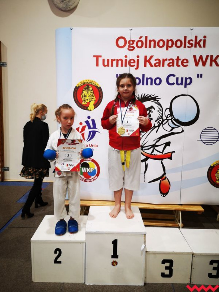Medale zawodników Wrzesińskiego Klubu Karate na koniec sezonu