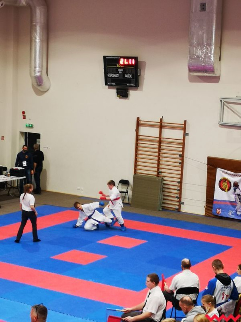 Medale zawodników Wrzesińskiego Klubu Karate na koniec sezonu