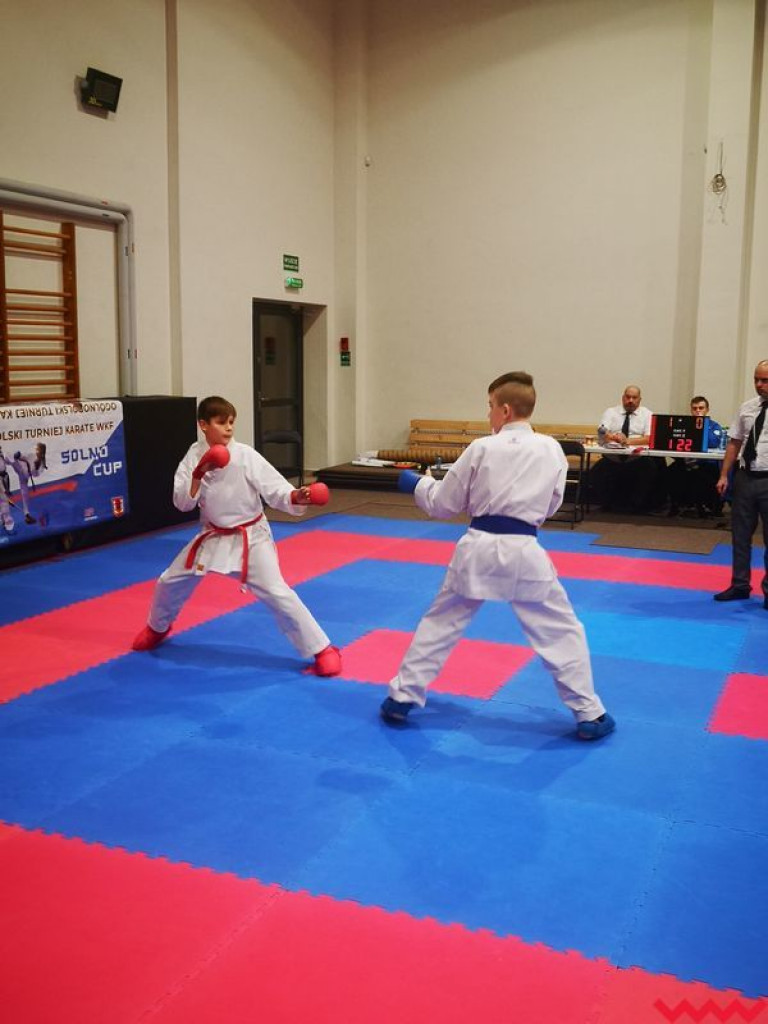 Medale zawodników Wrzesińskiego Klubu Karate na koniec sezonu