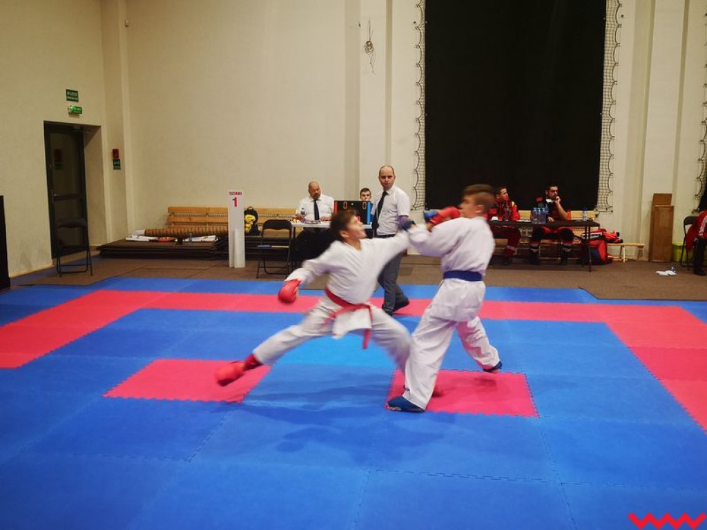 Medale zawodników Wrzesińskiego Klubu Karate na koniec sezonu