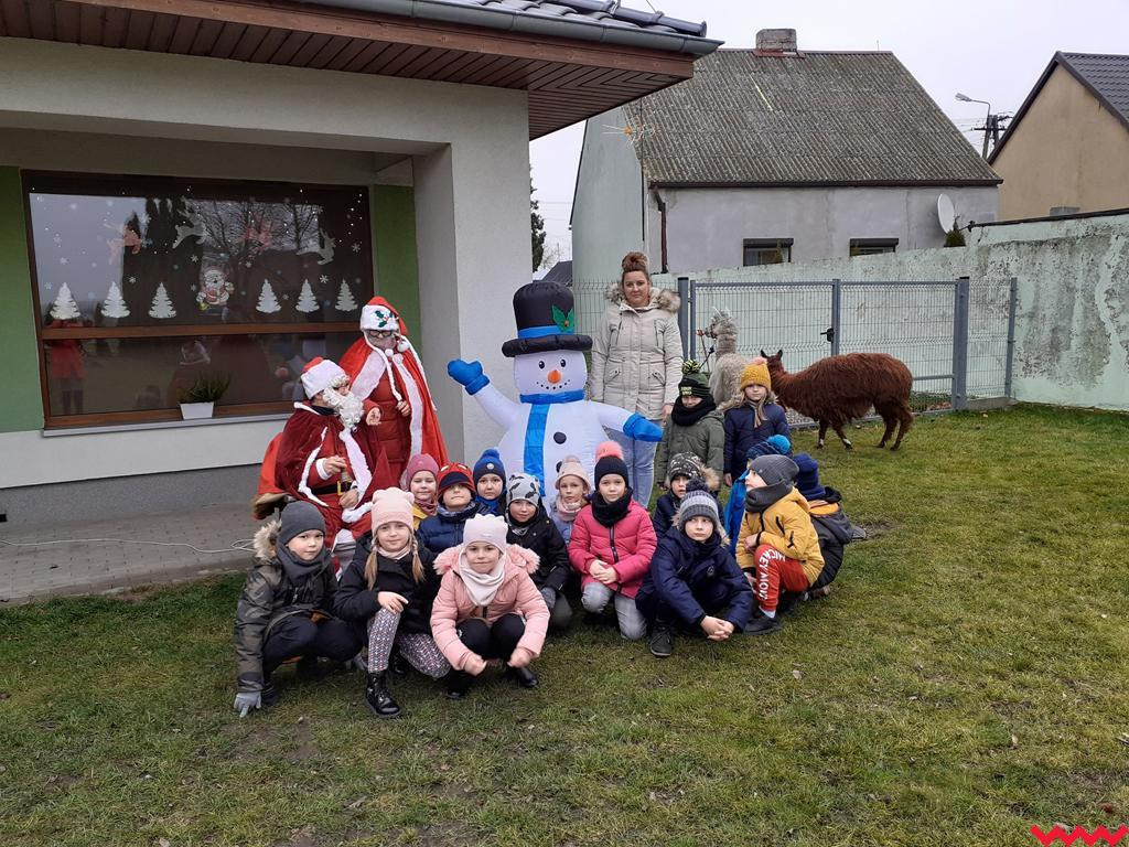 Mikołaj i alpaki w przedszkolu Bajkowy Świat w Pyzdrach