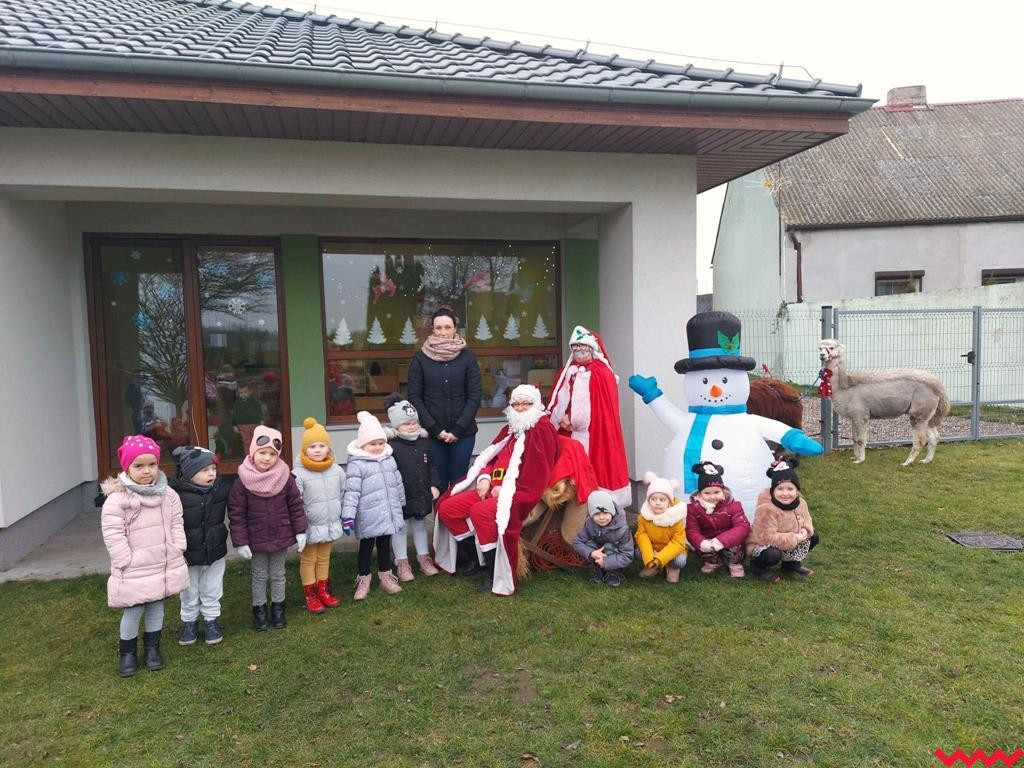 Mikołaj i alpaki w przedszkolu Bajkowy Świat w Pyzdrach