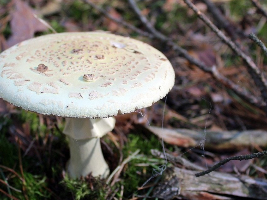 NAJWAŻNIEJSZE WYDARZENIA ROKU 2020 – tym żyliśmy przez ostatnie 12 miesięcy