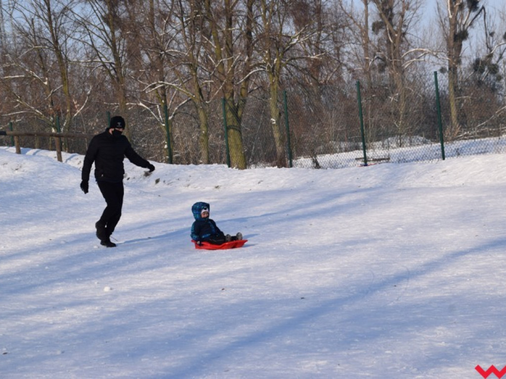 Na sankach i nartach. Zimowe szaleństwo na miejskich górkach zjazdowych