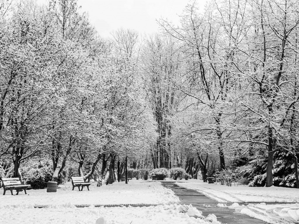 Zimowa Września okiem pasjonatki fotografii