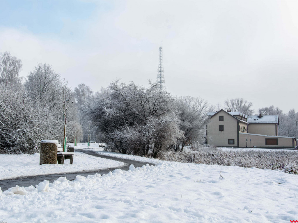 Zimowa Września okiem pasjonatki fotografii