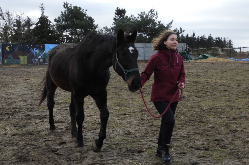 Zakątek weteranów w Gierłatowie