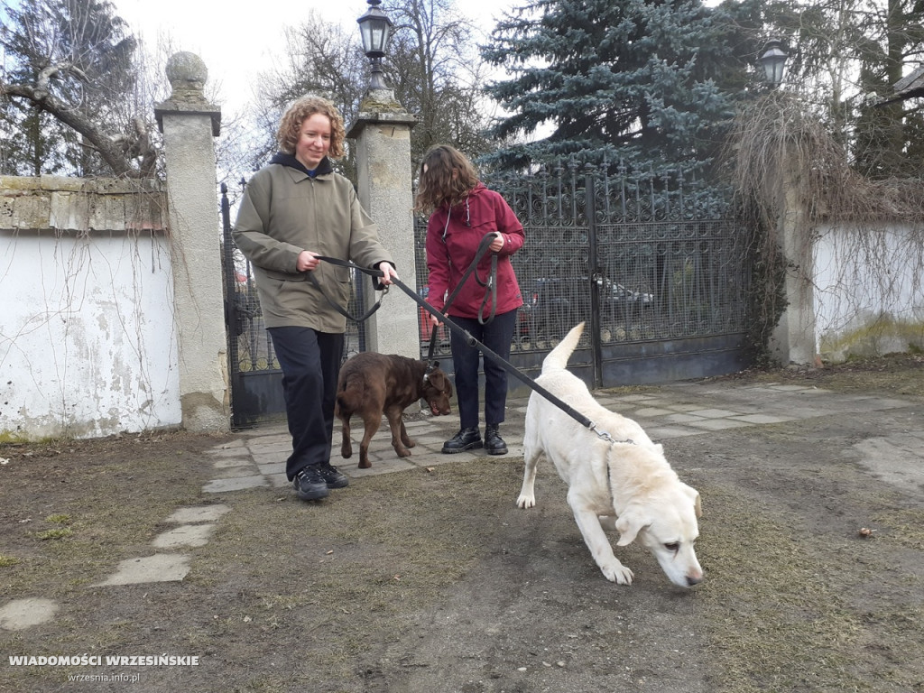 Zakątek weteranów w Gierłatowie