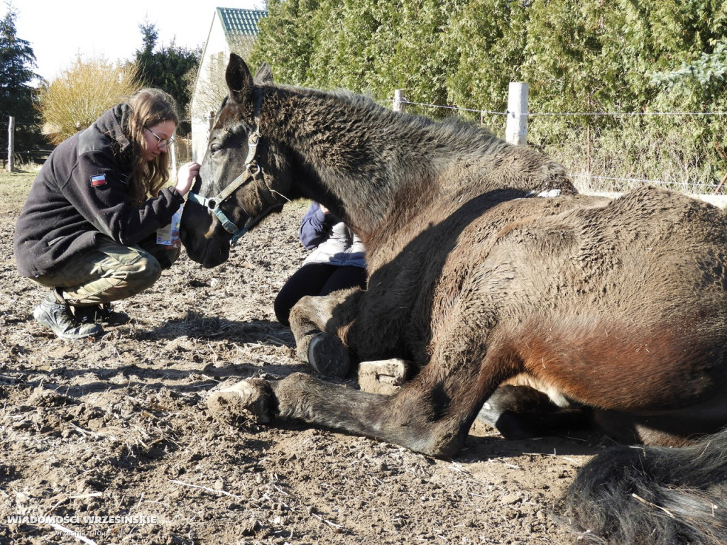 Zakątek weteranów w Gierłatowie