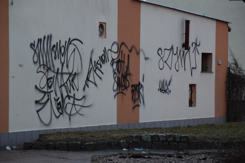 Graffiti na Witkowskiej