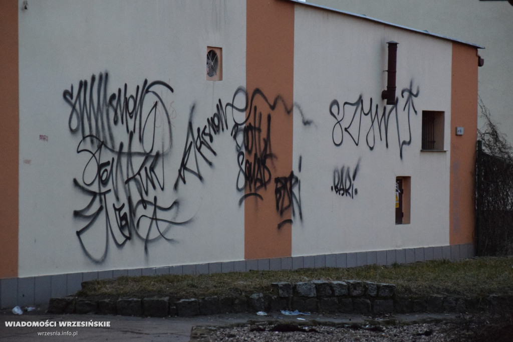 Graffiti na Witkowskiej