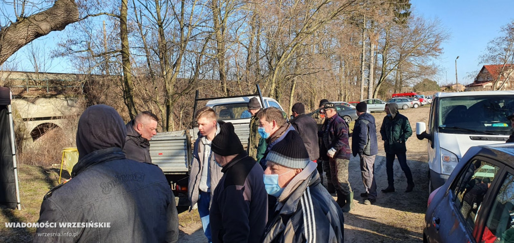 Kilka tysięcy drzew posadzono miłosławskim parku