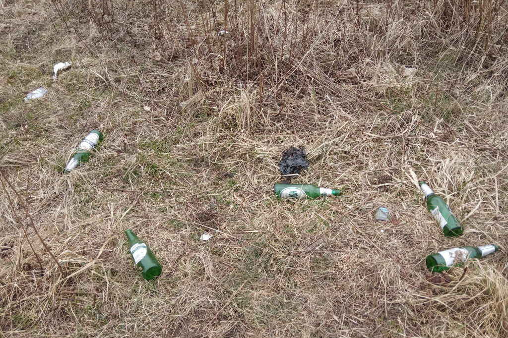 Zaśmiecony teren przy ul. 68 Pułku Piechoty