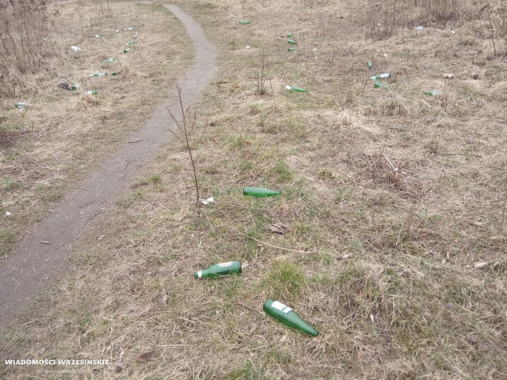 Zaśmiecony teren przy ul. 68 Pułku Piechoty