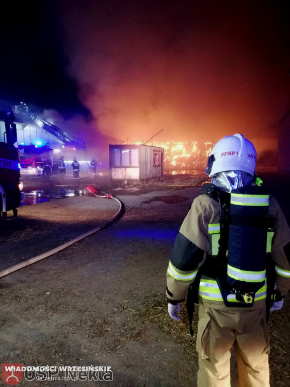 Płonęły stogi, wiata i magazyn. Zobacz zdjęcia