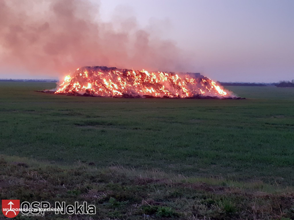 Płonęły stogi, wiata i magazyn. Zobacz zdjęcia