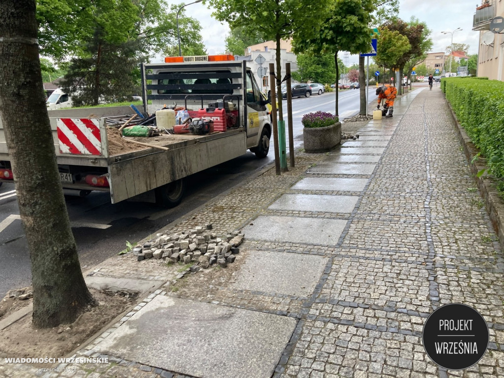 Poprawa warunków, w kórych rosną miejskie drzewa