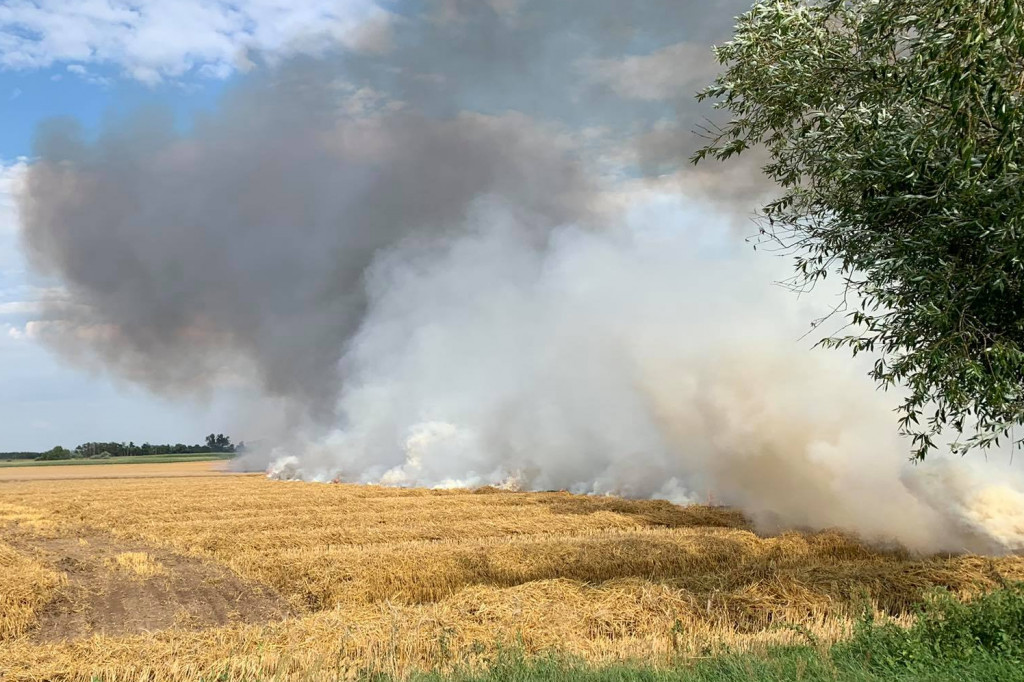 Pożar pola. Do działań skierowano liczne siły