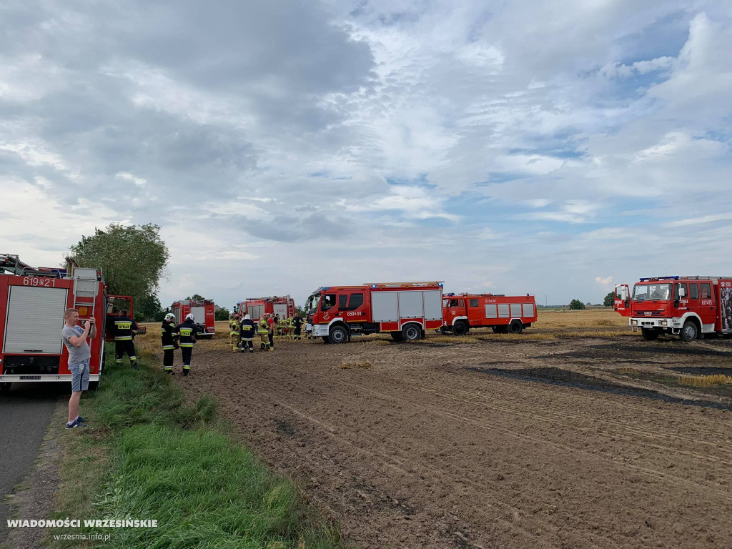 Pożar pola. Do działań skierowano liczne siły