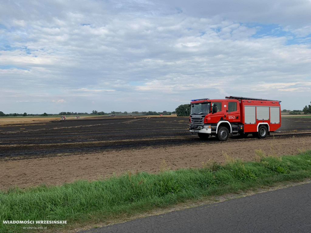 Pożar pola. Do działań skierowano liczne siły