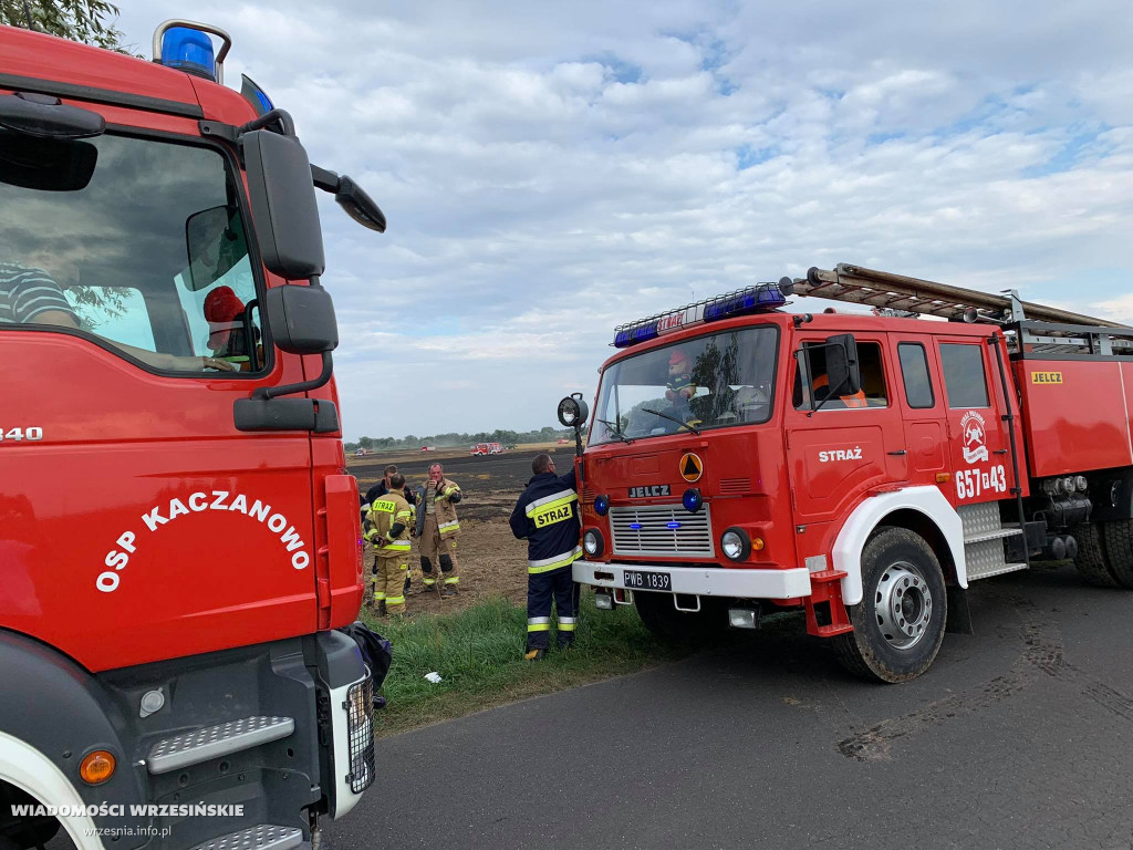 Pożar pola. Do działań skierowano liczne siły