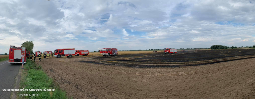 Pożar pola. Do działań skierowano liczne siły